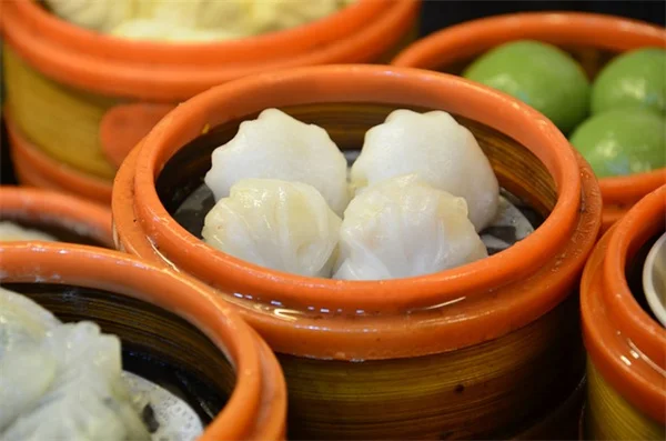 香り高いツル性植物で庭に高さをプラス！失敗しないコツと注意点