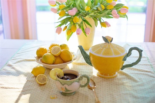 虹彩効果のある植物の育て方完全ガイド！初心者でも失敗しない5つのコツ