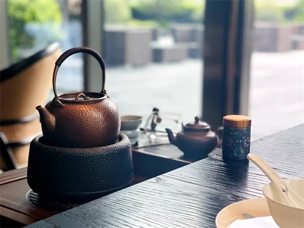 セロリアックの育て方完全ガイド｜初心者でも失敗しない7つのコツ