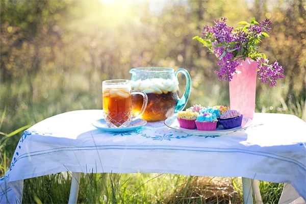 秋菜園が春より圧倒的に良い理由とは？甘さと害虫対策の実体験比較